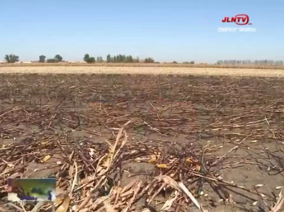 吉林省農民焚燒過后的土地