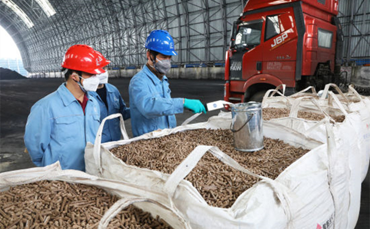 上海石化員工對木屑制粒機燃料進行采制樣.jpg